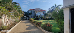 view-4