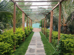 view-4