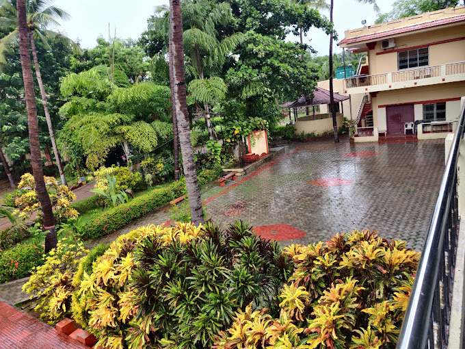 view-1