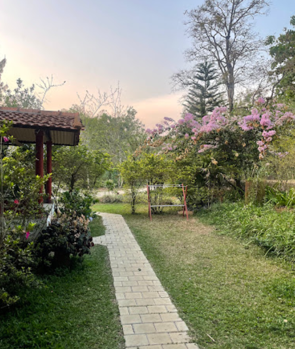 view-4