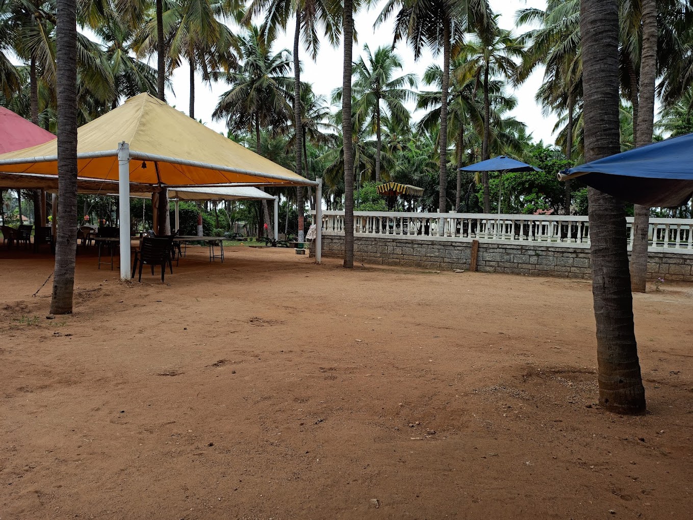 view-5