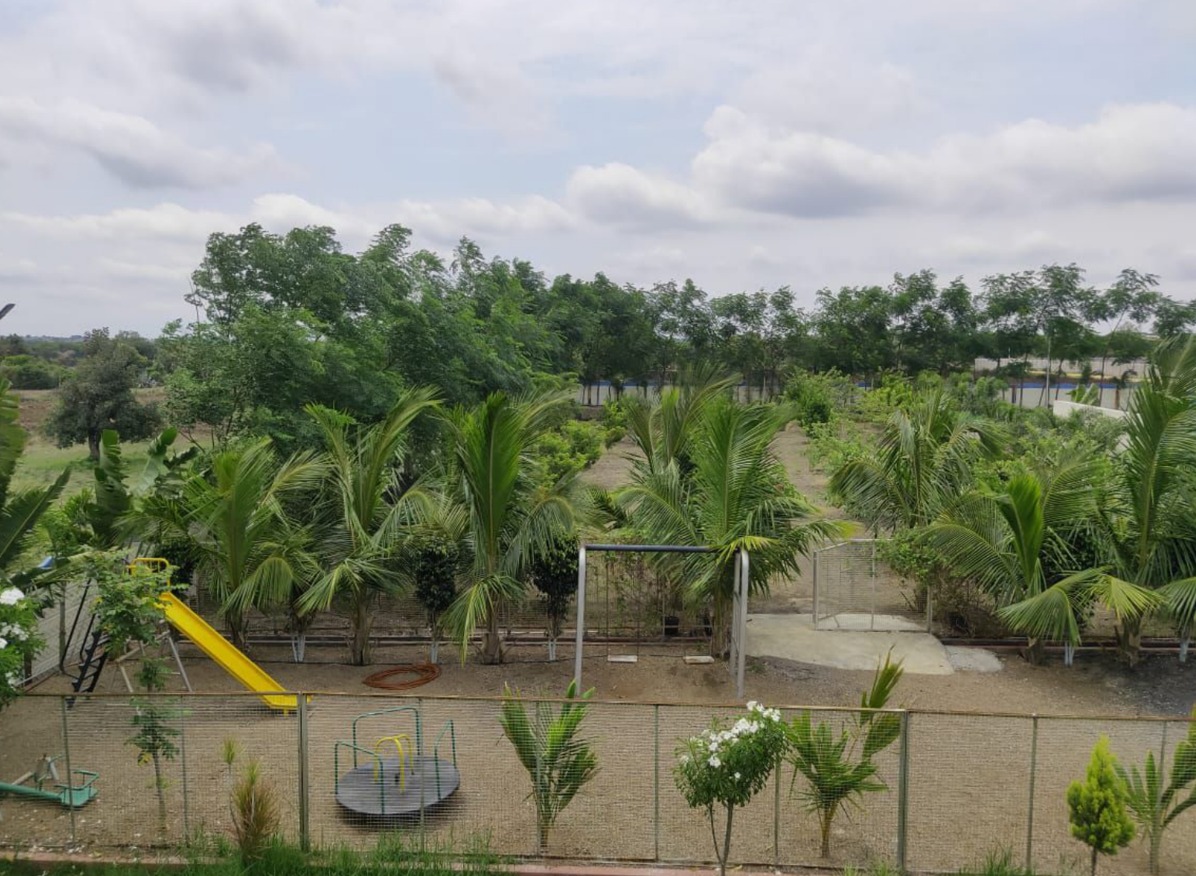 view-5
