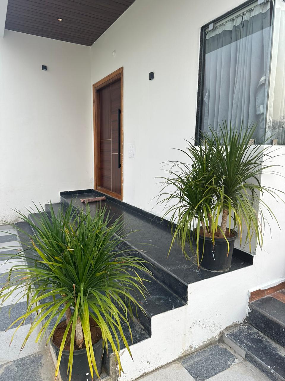 view-5