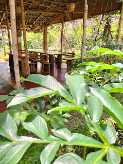 view-4