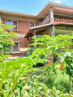 view-1