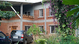 view-5