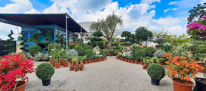 PlantLove Garden Centre