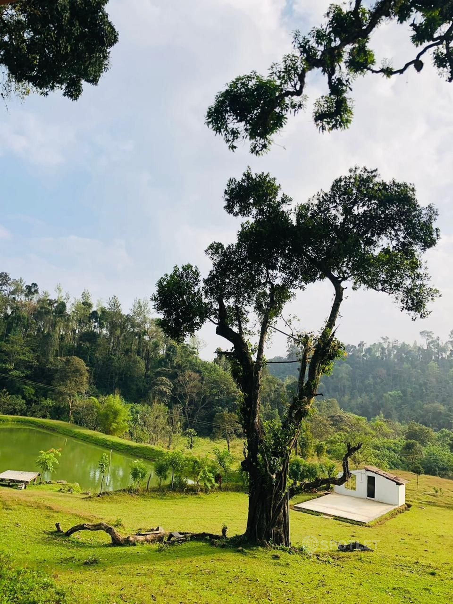 view-4