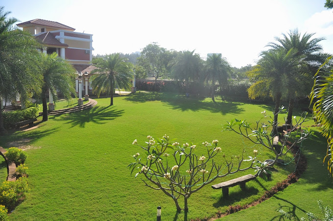 view-5