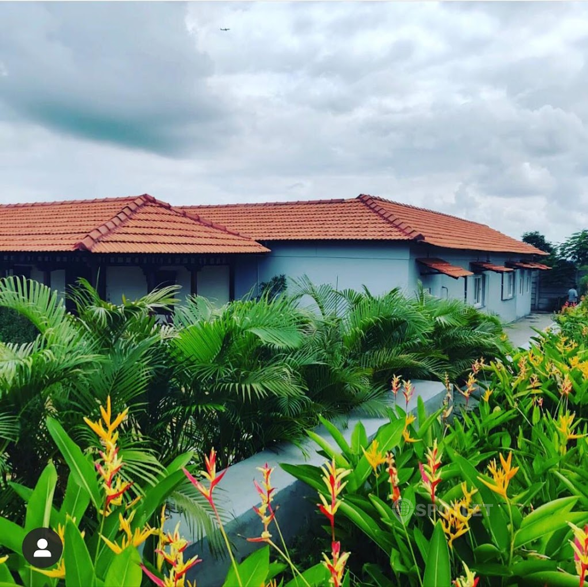 view-1