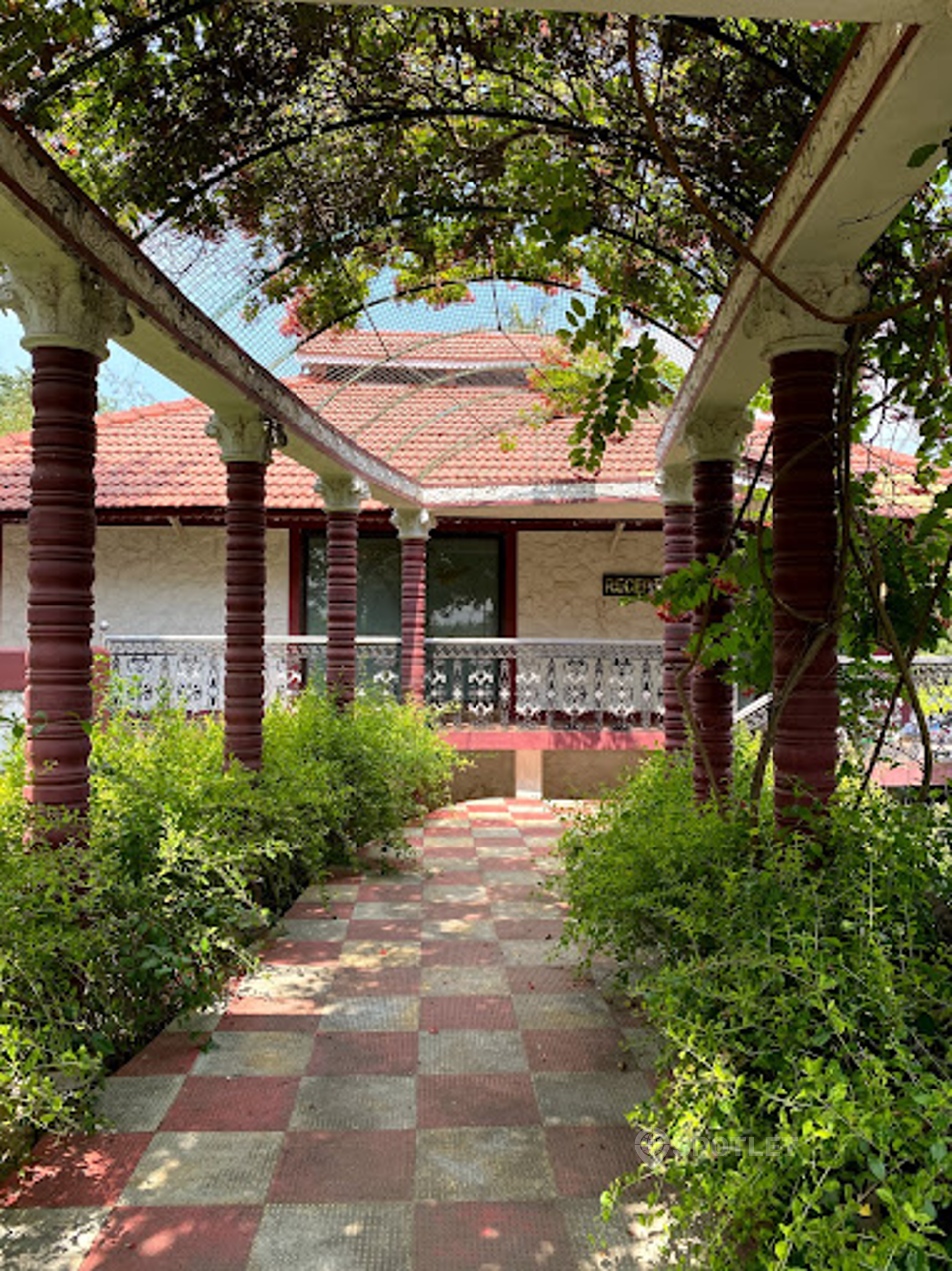 view-5