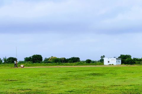 Ysportz cricket ground